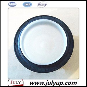oil seal 5265266