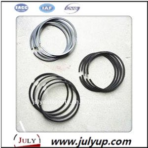 Piston Ring 4102ezj.04