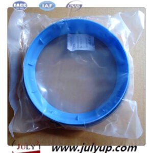 Crankshaft Rear Oil Seal 4955372
