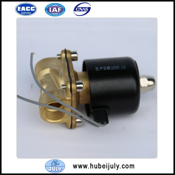 2W-160-15 solenoid valve