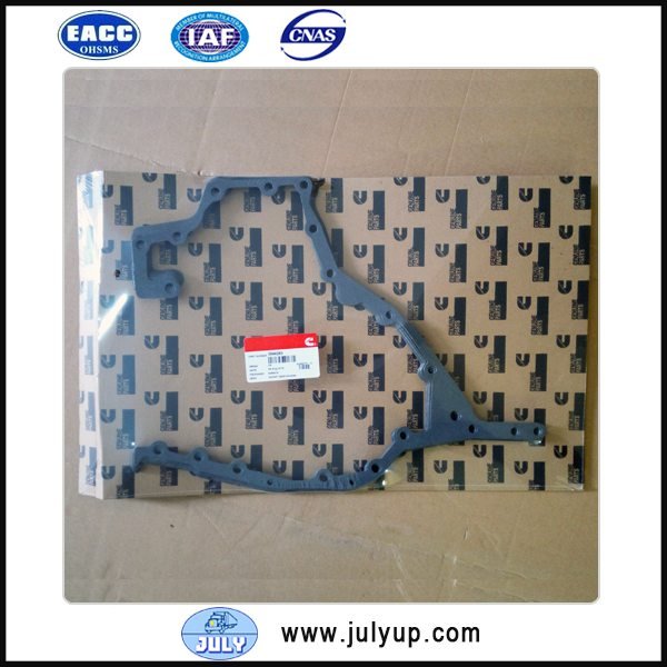 Gear housing gasket 3944293