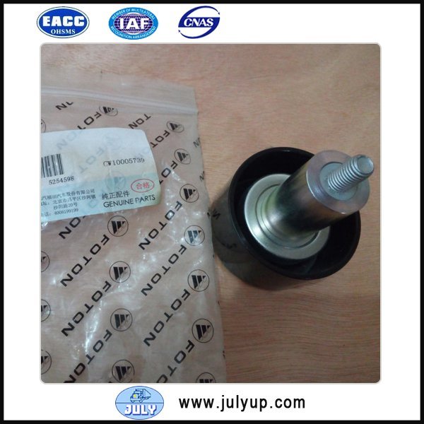 Idler pulley 5254598