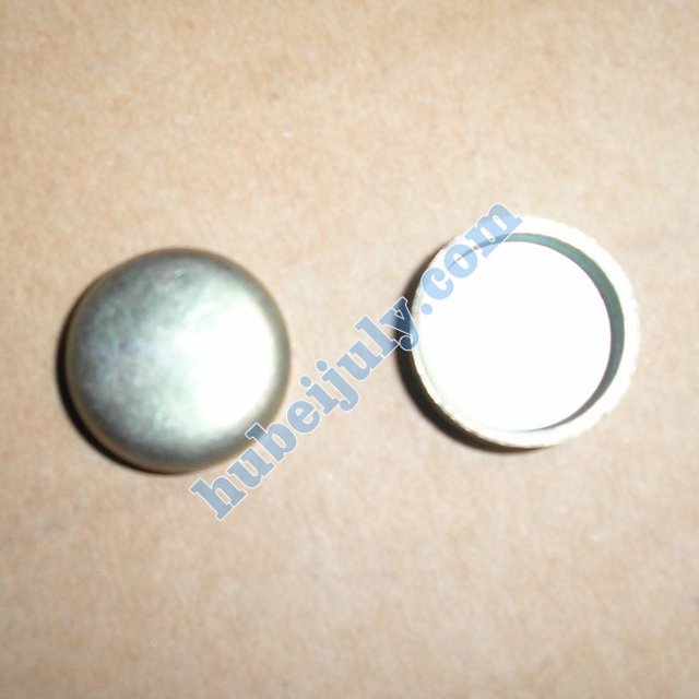 Cummins bowl plug 3004258