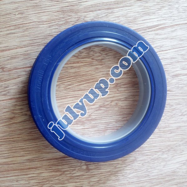 Dongfeng DFL 1120 Auto Spare Part 2nd Shaft Oil Seal 1700NB-153