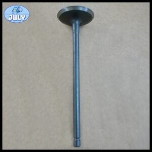 Intake valve 1021600E0100